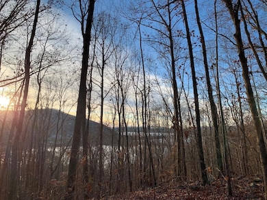 WhatsApp Image 2024-08-06 at 3.24.37 AM