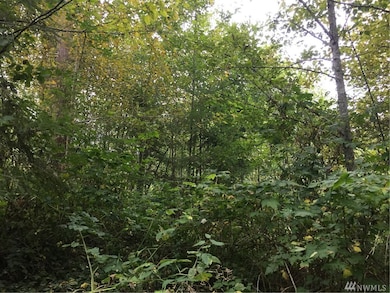 376 E Lake Walker Dr SE, Enumclaw, WA 98022 - photo 6