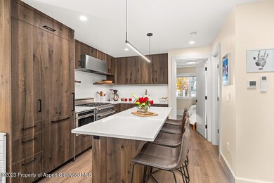 631 S Galena St unit 11, Aspen, CO 81611 - photo 6