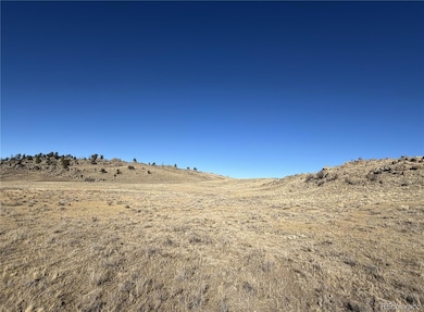 2665 Caddo Rd unit 3284, Hartsel, CO 80449 - photo 5