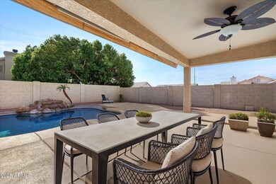 Entertainer's Backyard