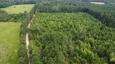 DJI_0634