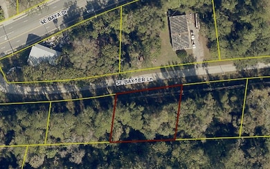 TBD SE Baxter Ln, Lake City, FL 32025 - photo 2