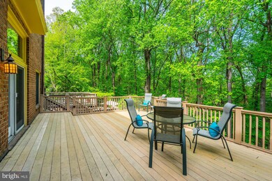 1312 Skipwith Rd, McLean, VA 22101 - photo 6