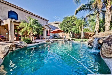 Backyard I