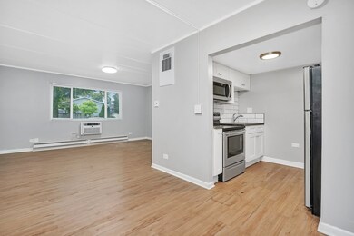 329 W Kimbell Ave unit 3, Elmhurst, IL 60126 - photo 2