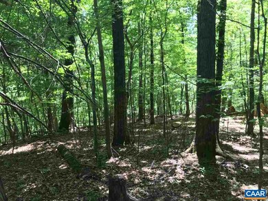 458 Stone Chimneys Rd unit I11-1D, Nellysford, VA 22958 - photo 4