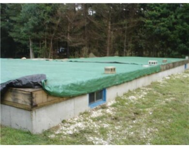 Cellar or Basement.