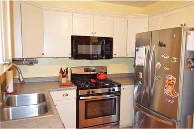 Kitchen. Stainless Steel Gas Stove & Side-by-Side 