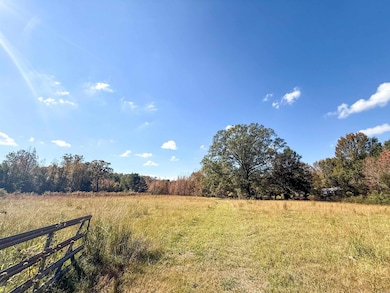 13 Grant County Road 455, Prattsville, AR 72129 - photo 4
