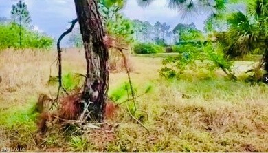 1212 Hudson St E, Lehigh Acres, FL 33974 - photo 4