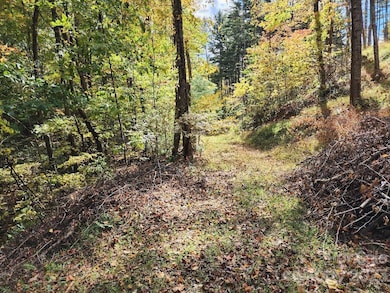 Access road near the center of the listing