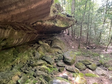 Crockett Rd, Haleyville, AL 35565 - photo 6