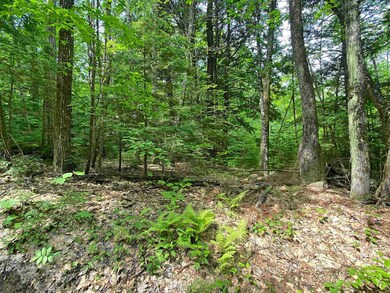 0 Eastman Hill Hermit Woods Rd unit 1-6 4957908, Sanbornton, NH 03269 - photo 6