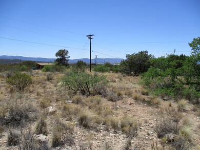 IMG_0010
