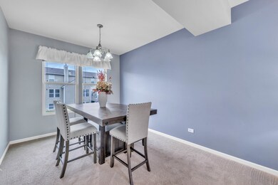 213 Foster Dr, Oswego, IL 60543 - photo 5