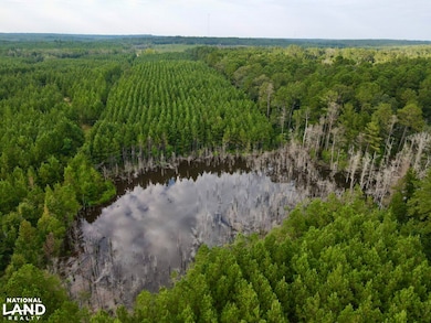 0 Neely Avera, Neely, MS 39461 - photo 6