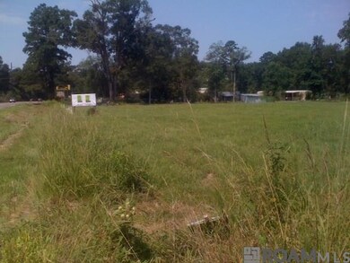 8611 Florida Blvd, Denham Springs, LA 70726 - photo 4