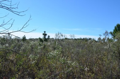 143 Causey Rd, Doerun, GA 31744 - photo 4