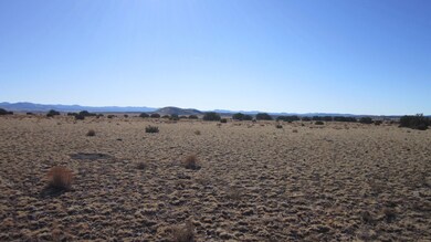 0 Chestnut Ln, Concho, AZ 85924 - photo 5