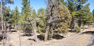 1300 S Jimson Loop