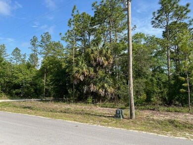 Lot 14 starts at utility pole and goes to corner
