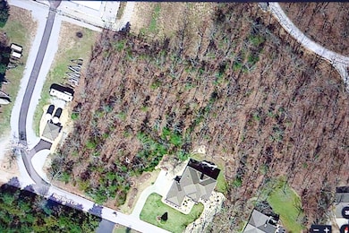overview