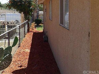 Side Yard