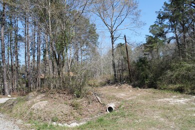 367 Hopkins Dr, Moncks Corner, SC 29461 - photo 5