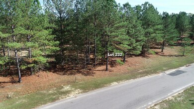 Lot 232