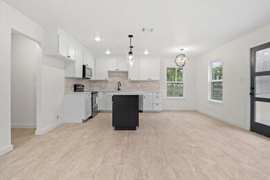 2500 Orion Way, Granbury, TX 76048 - photo 4