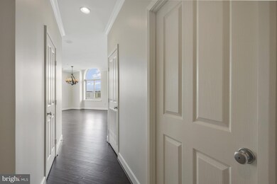 1205 N Garfield St unit PH8, Arlington, VA 22201 - photo 4