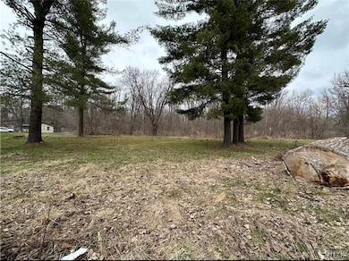 207 S Mechanic St, Carthage, NY 13619 - photo 2