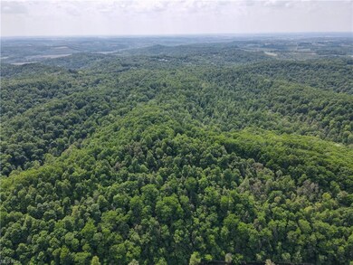 0 Stone Quarry Rd unit 4463440, Danville, OH 43014 - photo 2