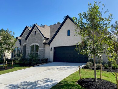 15310 Garnet Groves Dr, Conroe, TX 77302 - photo 2