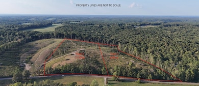 00 Flatwoods Rd, Camden, TN 38320 - photo 3