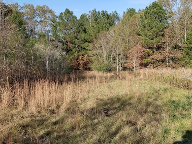 TBD Cr 122 E, Nacogdoches, TX 75695 - photo 3