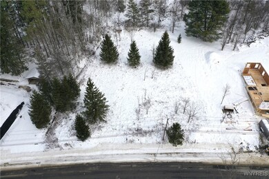 48 Mill St, Ellicottville, NY 14731 - photo 4