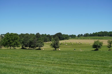 DSC00005
