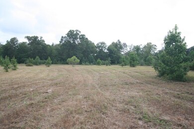 21299 Big Buck Dr, Cleveland, TX 77328 - photo 7