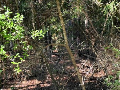 291 Aztec unit Lot 291, Brookeland, TX 75931 - photo 3