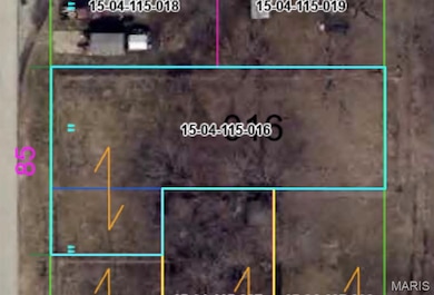 TBD Adams St, Litchfield, IL 62056 - photo 6