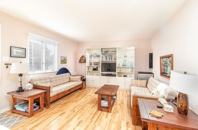 1451 Ocean Dr, Avalon, NJ 08202 - photo 6