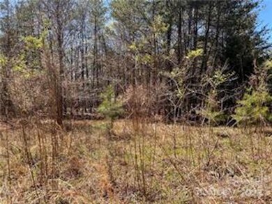 0000 Elliott Ln unit 45 & 48, Rutherfordton, NC 28139 - photo 4