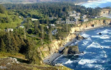 Over view Otter Rock