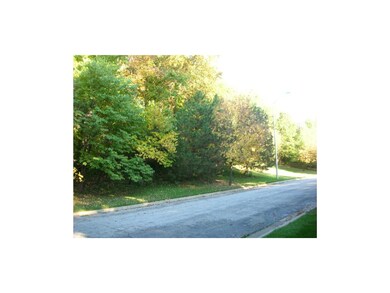 beautiful treed lot