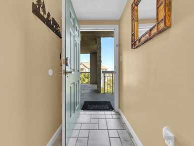 205 Ogle Dr unit 341, Pigeon Forge, TN 37863 - photo 4