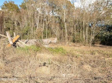 169 Lavan St, Elton, LA 70532 - photo 5