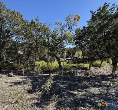 651 Scott Way, Canyon Lake, TX 78133 - photo 7