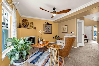 5639 Sunshade Point, Colorado Springs, CO 80923 - photo 7